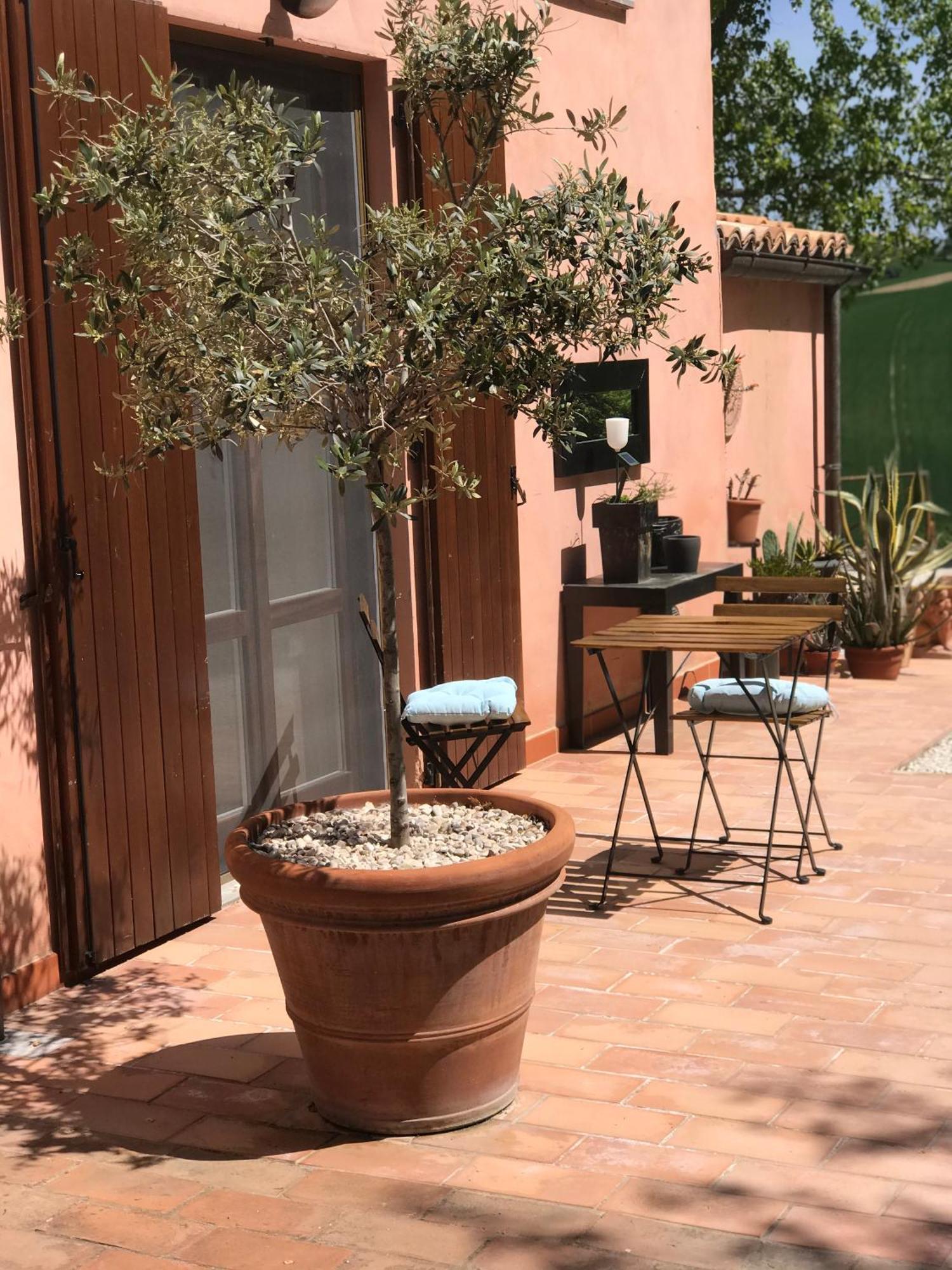 Bed and Breakfast Il Posto Perfetto Santa Maria Nuova  Екстер'єр фото